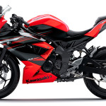 06 2014 Kawasaki Ninja Rr Mono Passion Red Abs 003