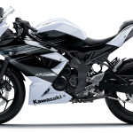 15 2014 Kawasaki Ninja Rr Mono Pearlstardustwhite Non Abs 002