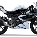 16 2014 Kawasaki Ninja Rr Mono Pearlstardustwhite Non Abs 003