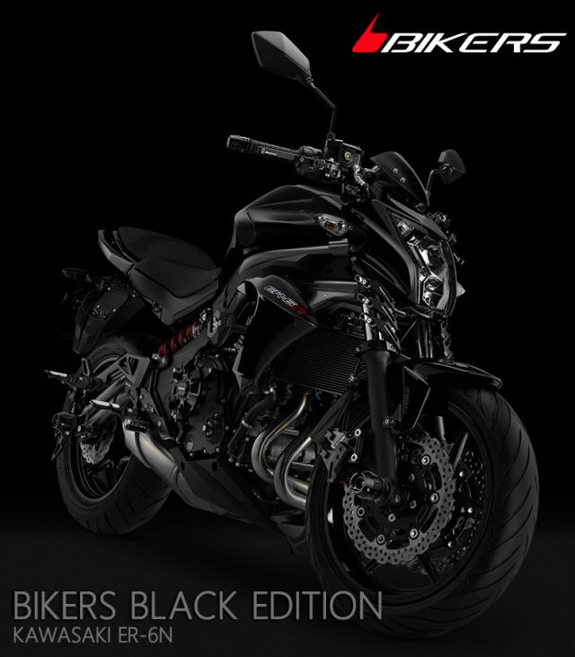 Bikers-Kawasaki-ER6n
