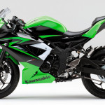 2015 Kawasaki Ninja 250sl Lime Green 003