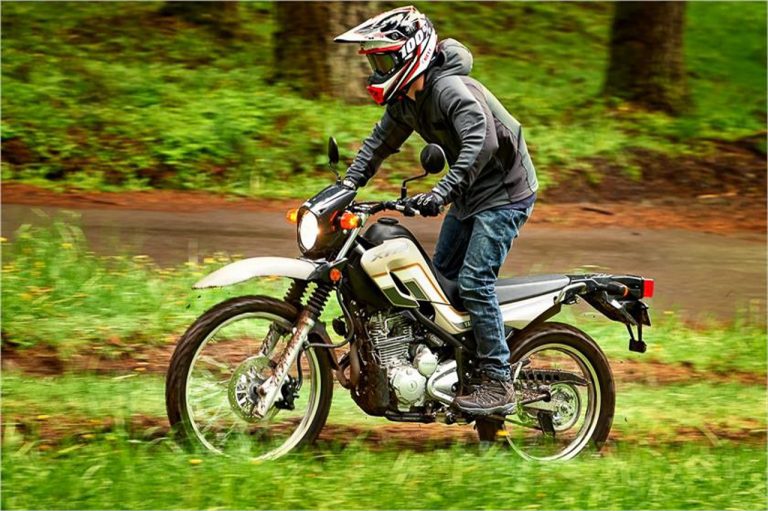 2018 Yamaha Xt250 Tw200 Dual Sport Adventure 8 768x511