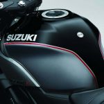 2018 Suzuki Sv650x Cafe Racer 6