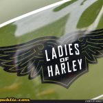 Ladies Of Harley Malaysia Ride To Melaka 4