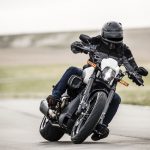 2019 Harley Davidson Fxdr 114 6